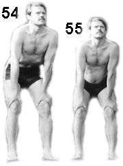 This is a nice picture